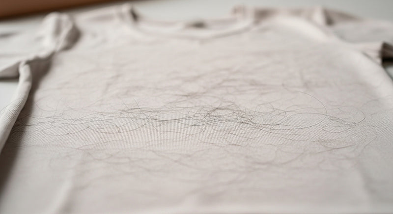 Pelos en la ropa durante el día